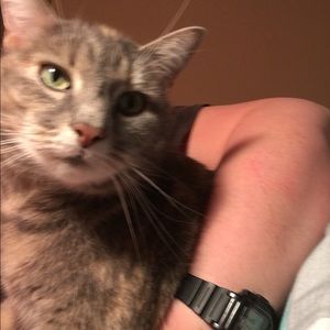 Meet your Posher, Mandi